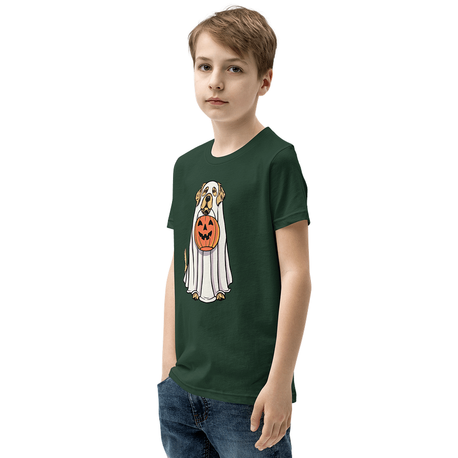 Halloween Golden Retriever Youth T-Shirt product image (15)