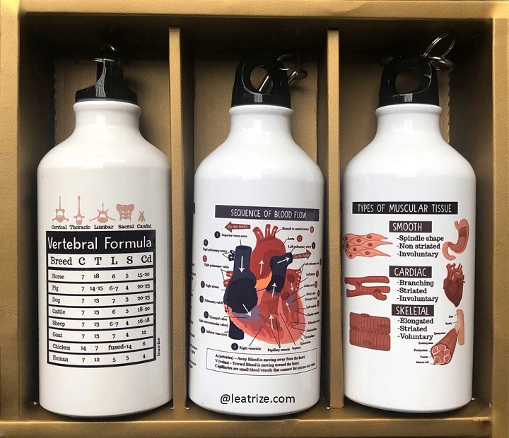 Canine Body System Sports Jug Set product image (2)