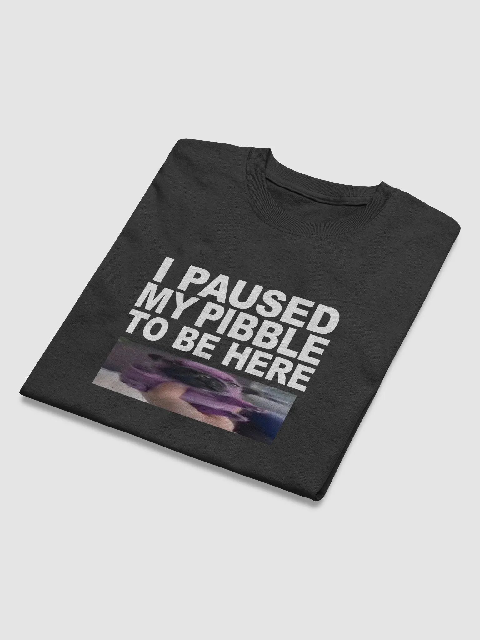 I PAUSED MY PIBBLE TO BE HERE product image (4)