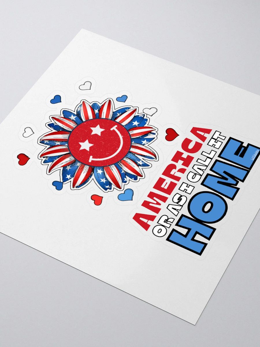AMERICA OR AS I CALL IT HOME product image (9)