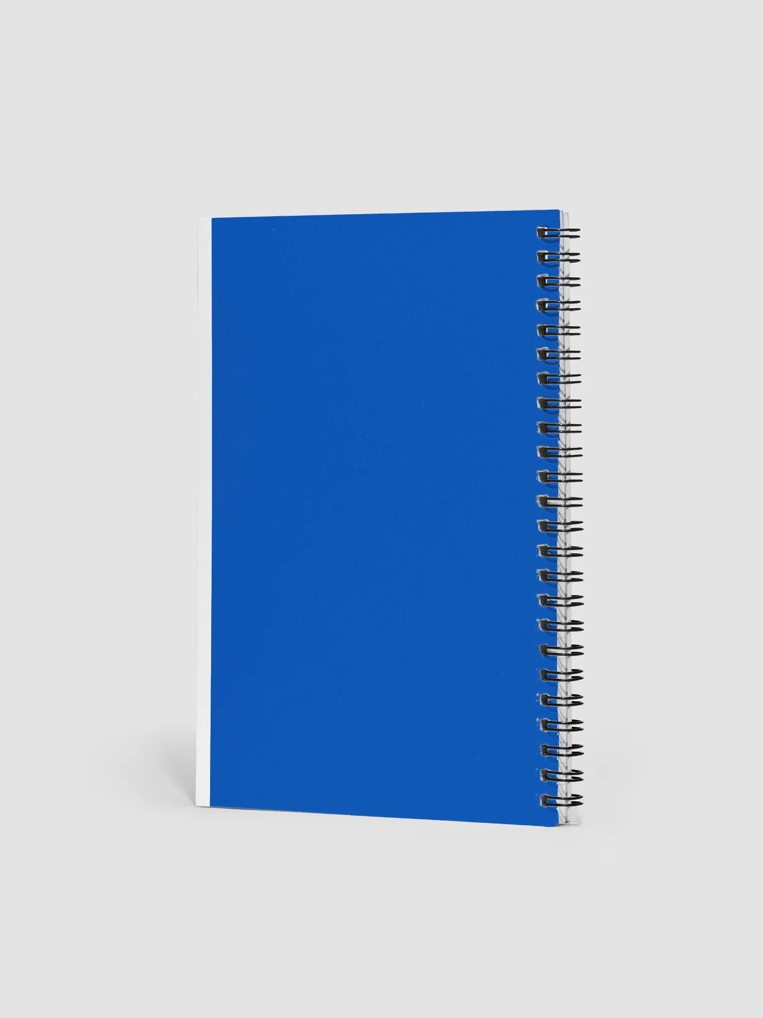 Journal product image (2)