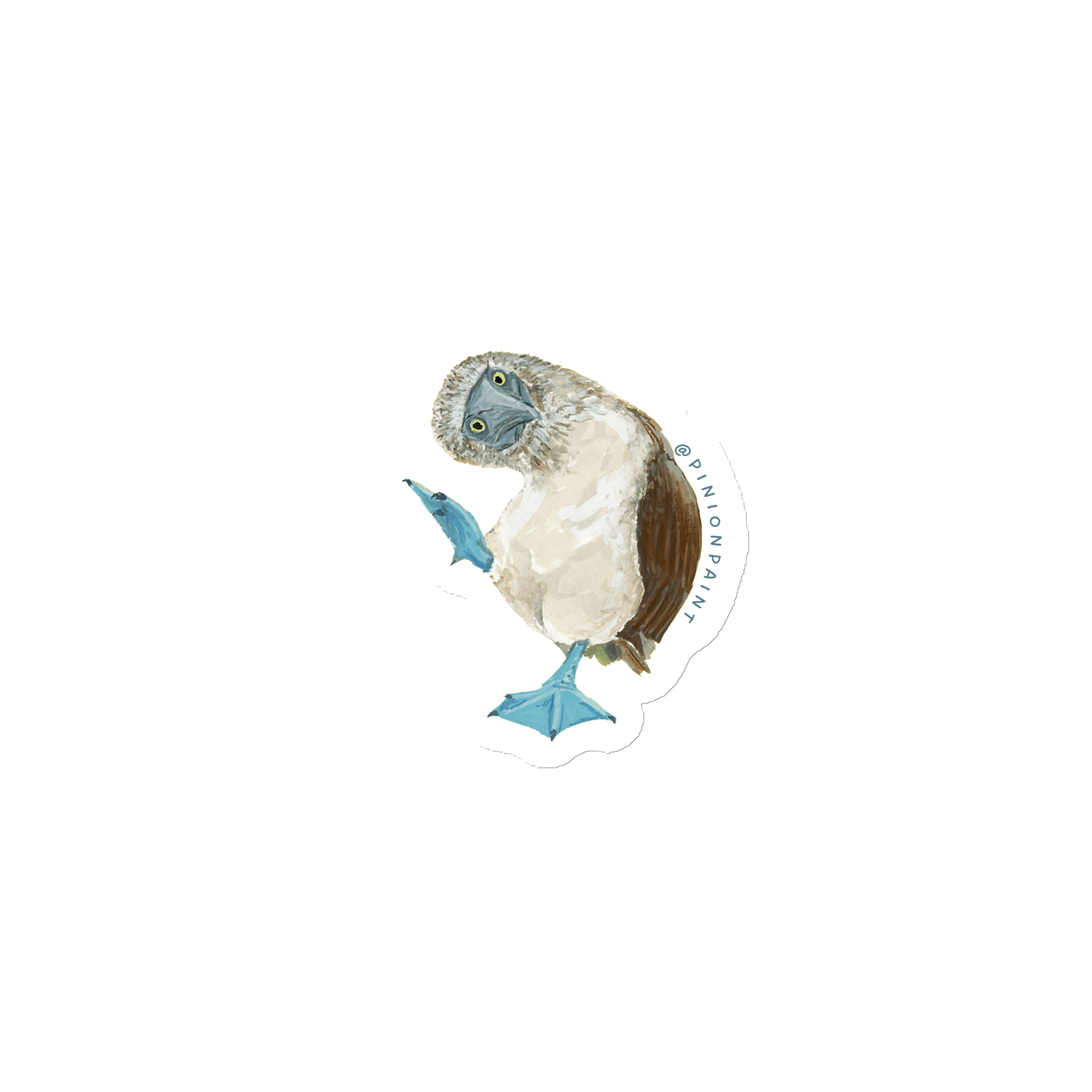 Booby magnet product image (1)