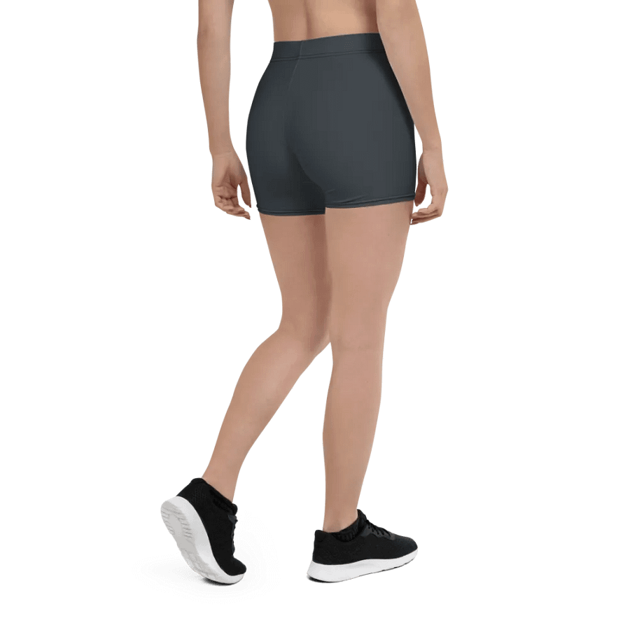 Slate Surf Shorts product image (3)