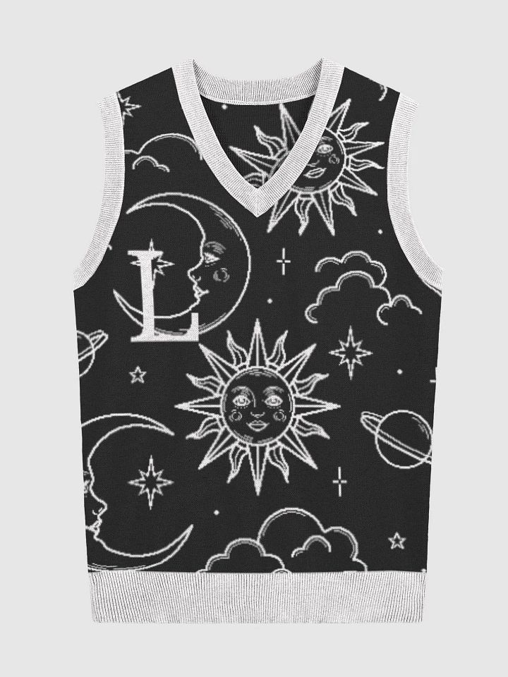 sweater vest-L product image (1)
