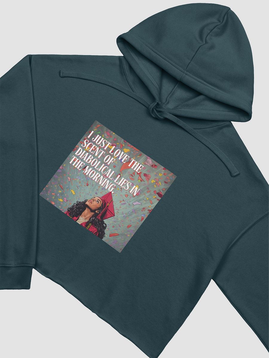 Diabolical Lies Grad 4 Cropped Hoodie product image (3)