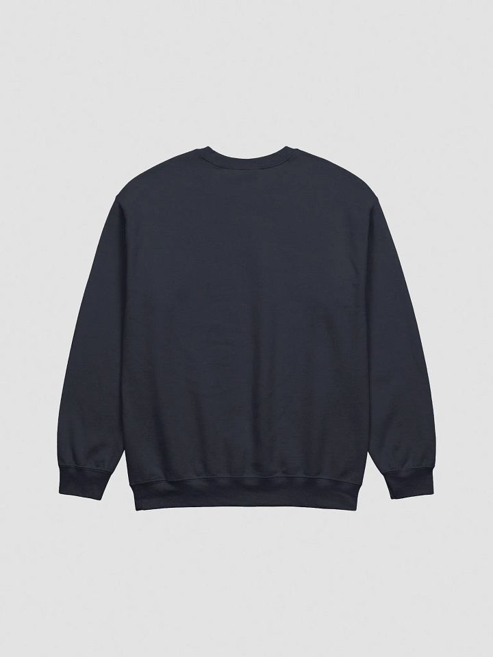 #FASS - Navy Sweatshirt product image (2)