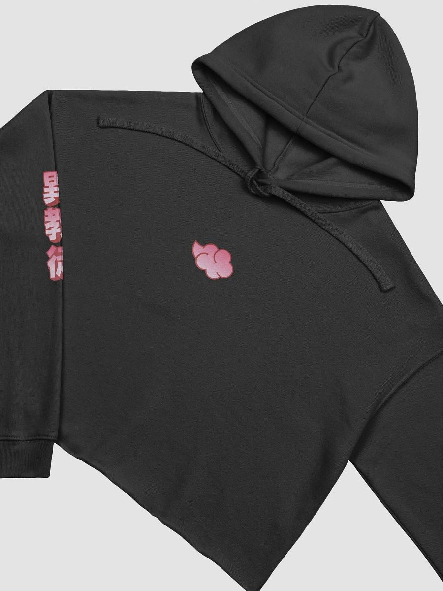 Nihon Heathens Crop Top Hoodie - Pale Red product image (3)