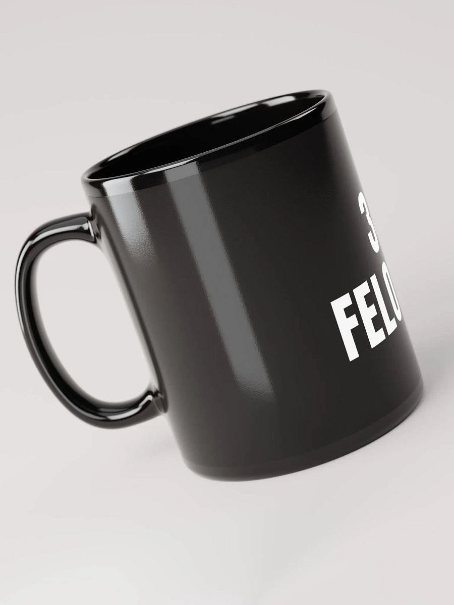 Pris-34- FELONIES-Black Glossy Mug product image (3)
