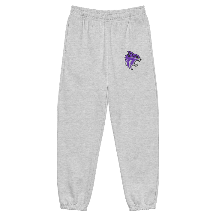 Jr Whips Embroidered Joggers product image (2)