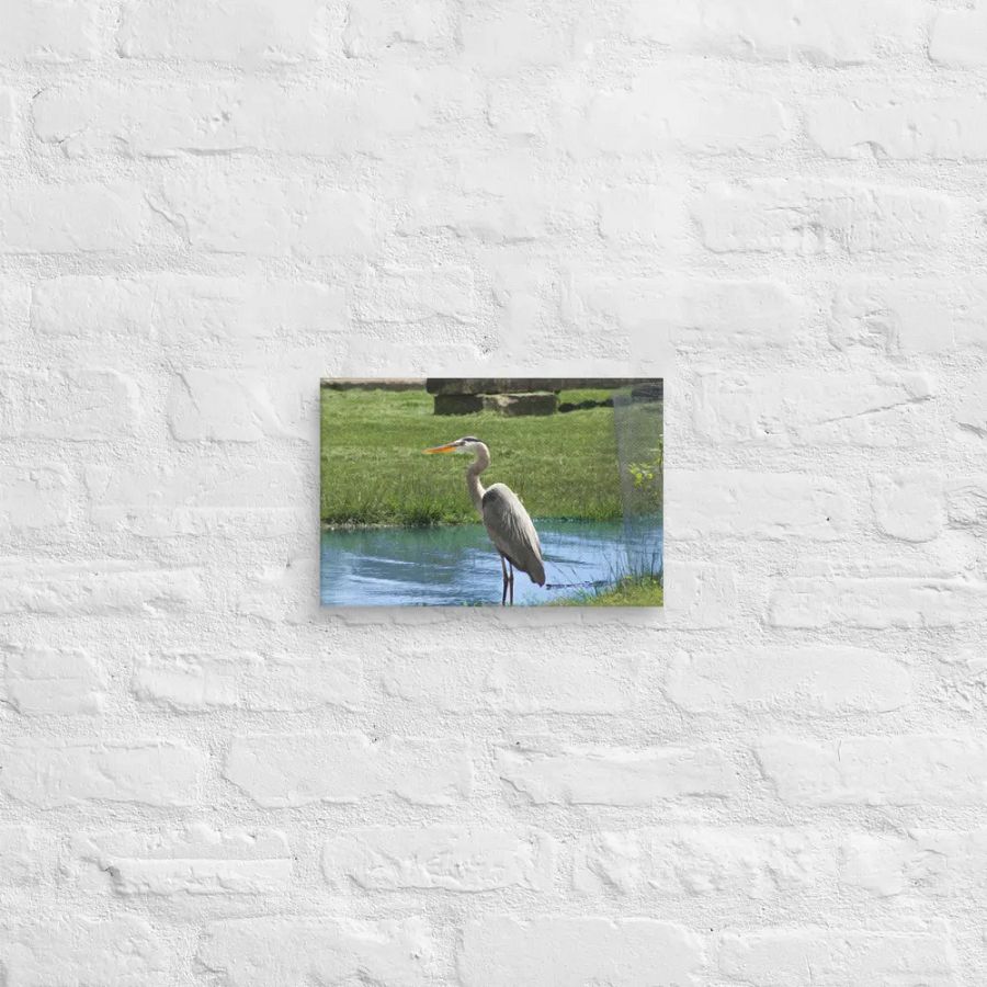 The Great Blue Heron product image (8)
