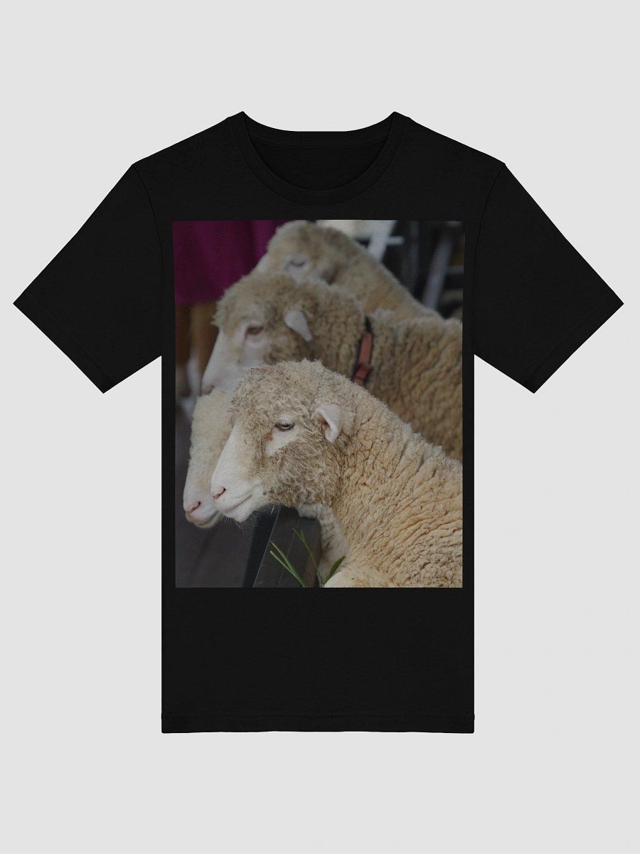 Curly Comfort Sheep T-Shirt product image (5)