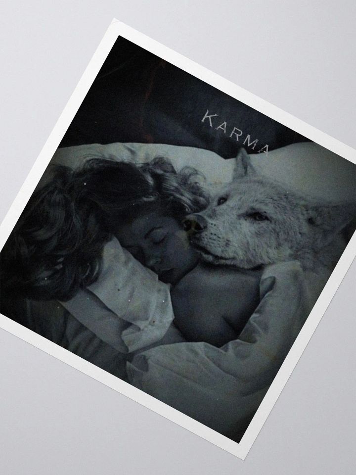 Karma XIV product image (6)