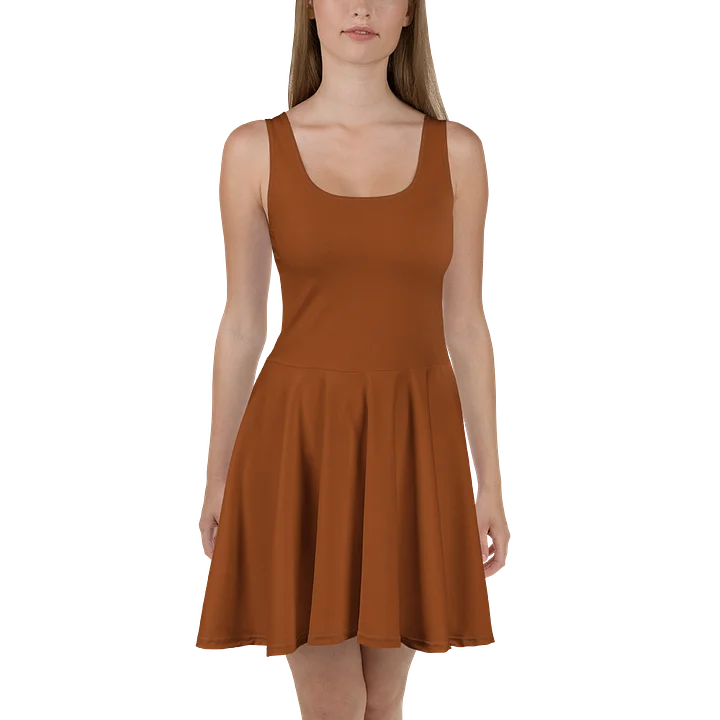 Cowboy Brown Solid Color Fit and Flare Dress product image (2)