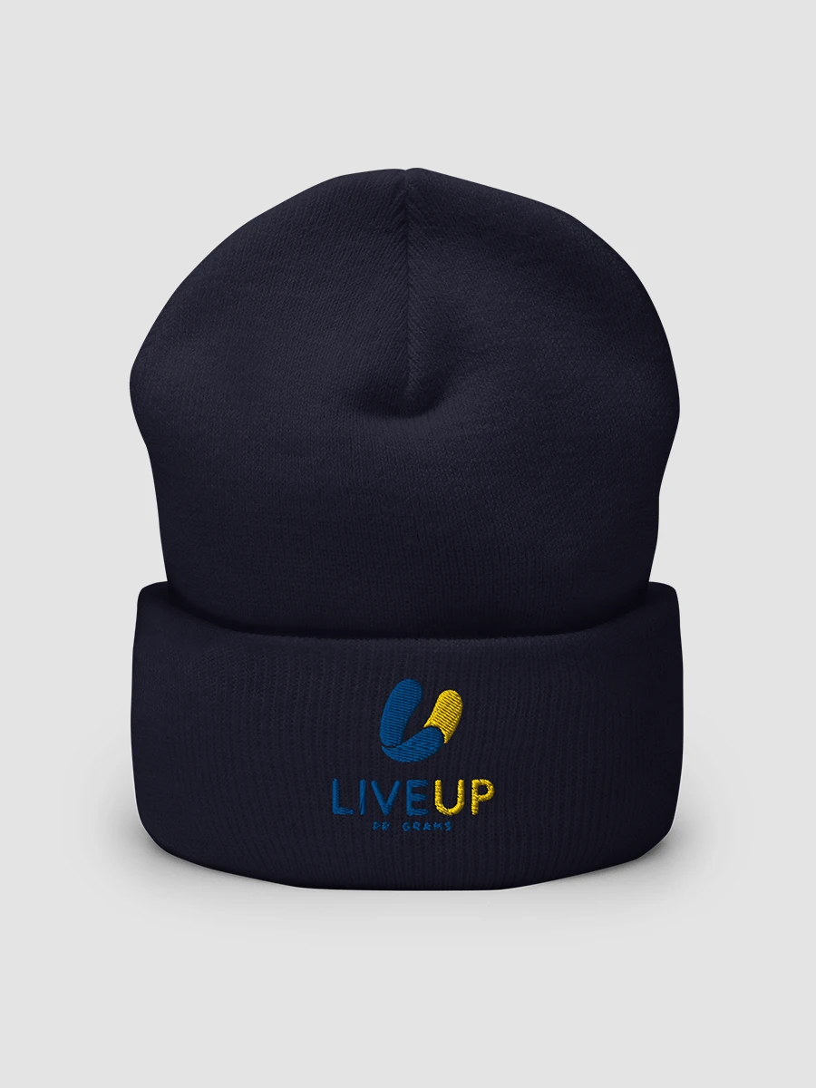 [LiveUp] Embroidered Cuffed Beanie Yupoong 1501KC product image (4)