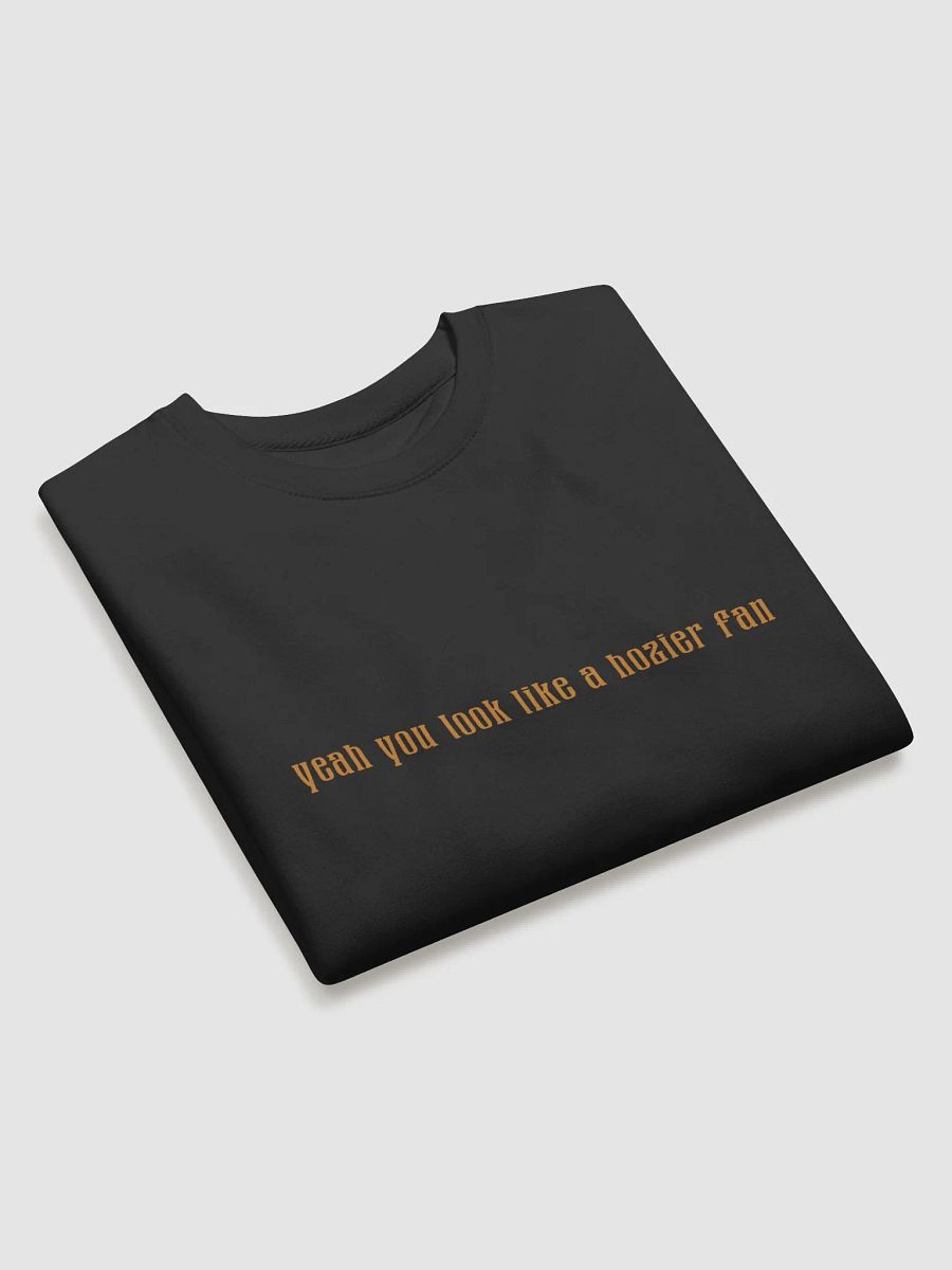 Hozier Fan Sweatshirt product image (3)