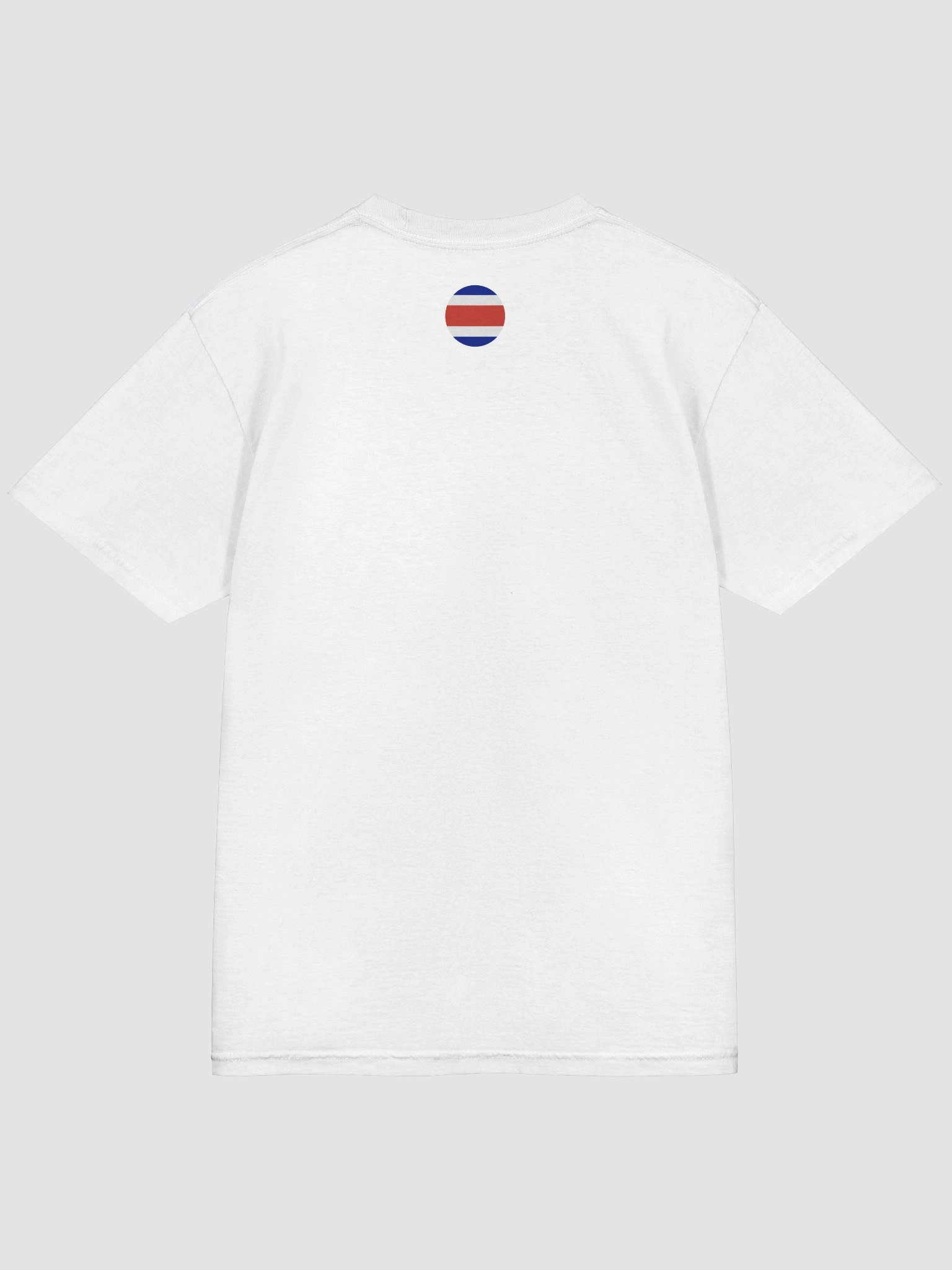 COSTA RICAN FACTS product image (104)