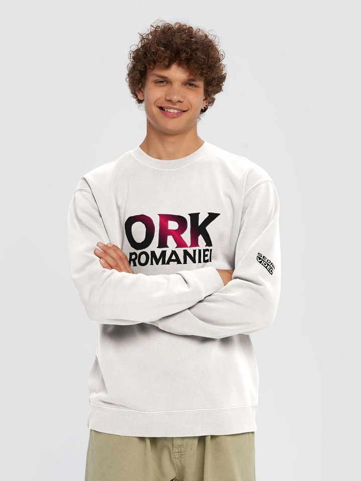 Premium Sweatshirt V2 Bej Ork. Romaniei x Alpen product image (1)