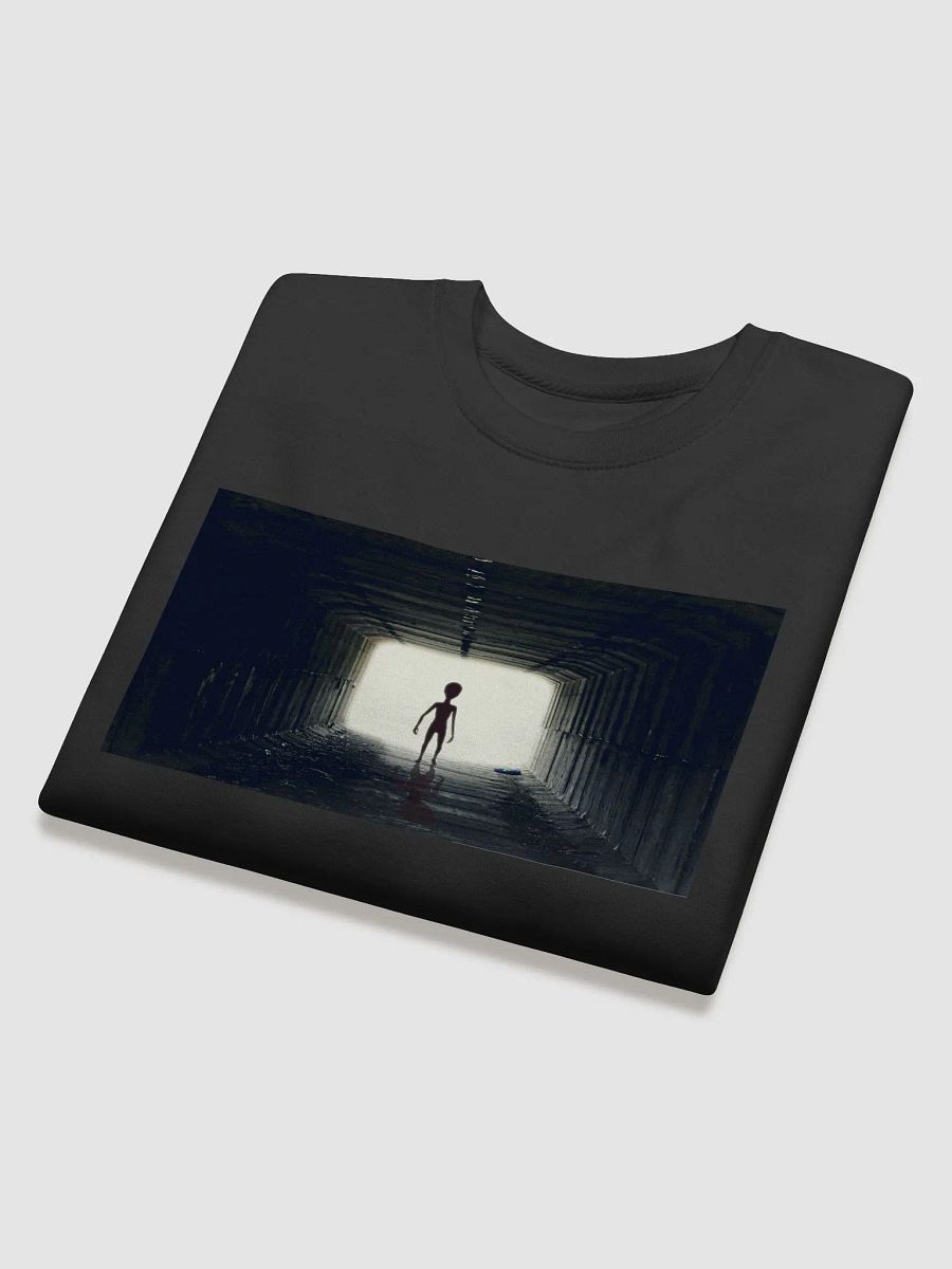 Seeing the light product image (5)
