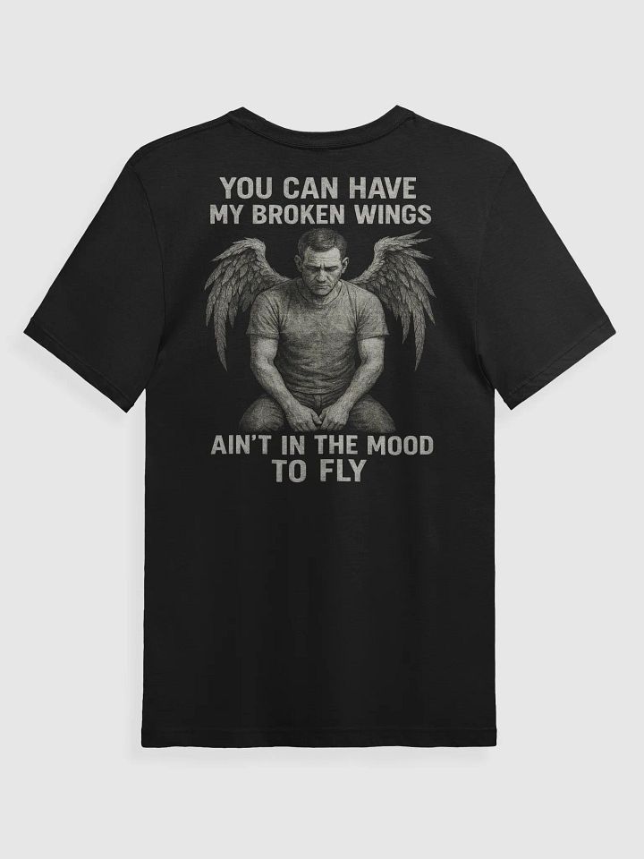 Ain't In The Mood To Fly product image (2)