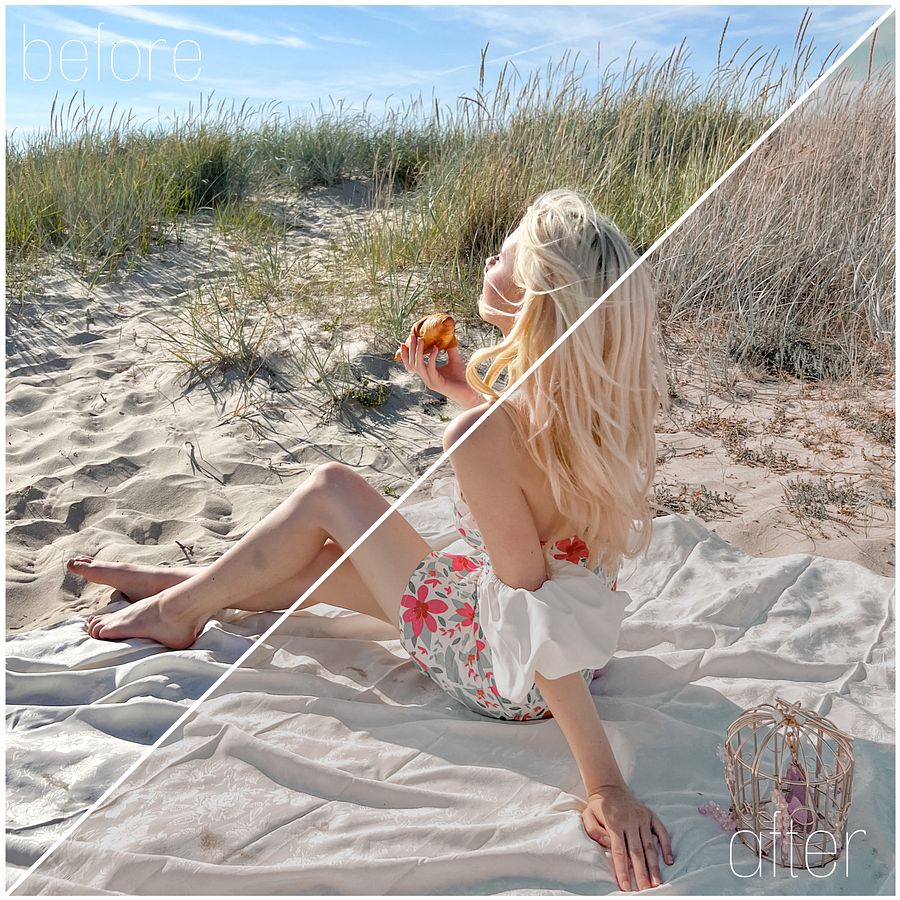 Vanilla Beach Preset product image (5)