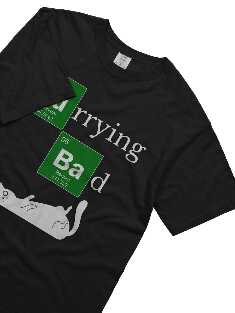 Purrying Bad-Tee product image (13)