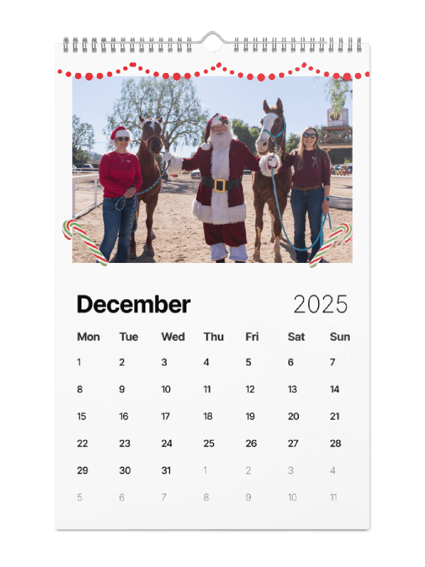 2025 Sorrel Calendar product image (12)