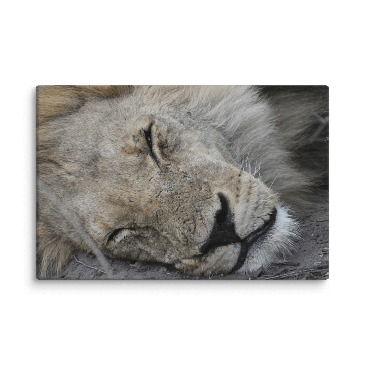 The Lion (Canvas Print) product image (2)