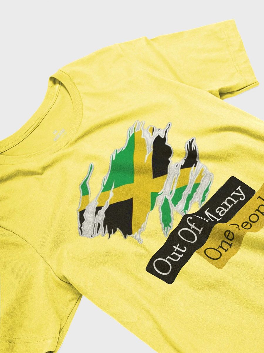 Out of Many Supersoft T-Shirt product image (4)