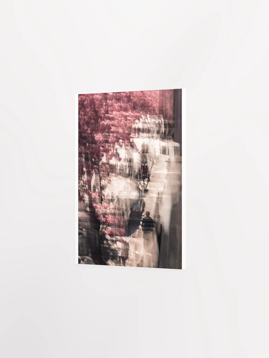 A Stroll under the Cherry trees - Print product image (3)