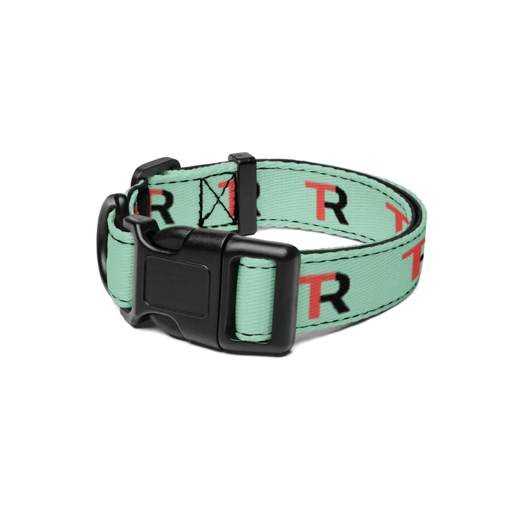 Rowdy Tuesday - Pet Collar product image (1)