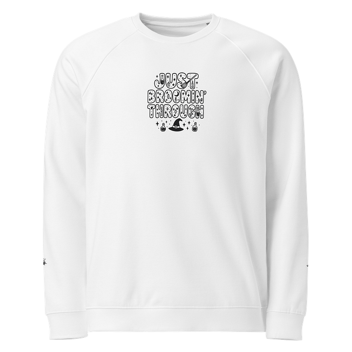 JUST BROOMIN' THROUGH Sweater product image (2)