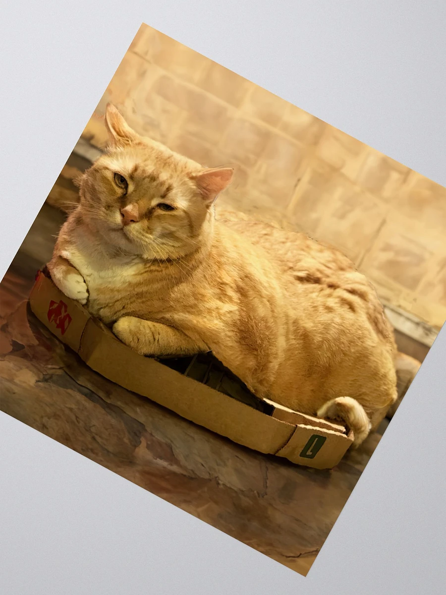 Can't keep Colby in a box sticker product image (2)