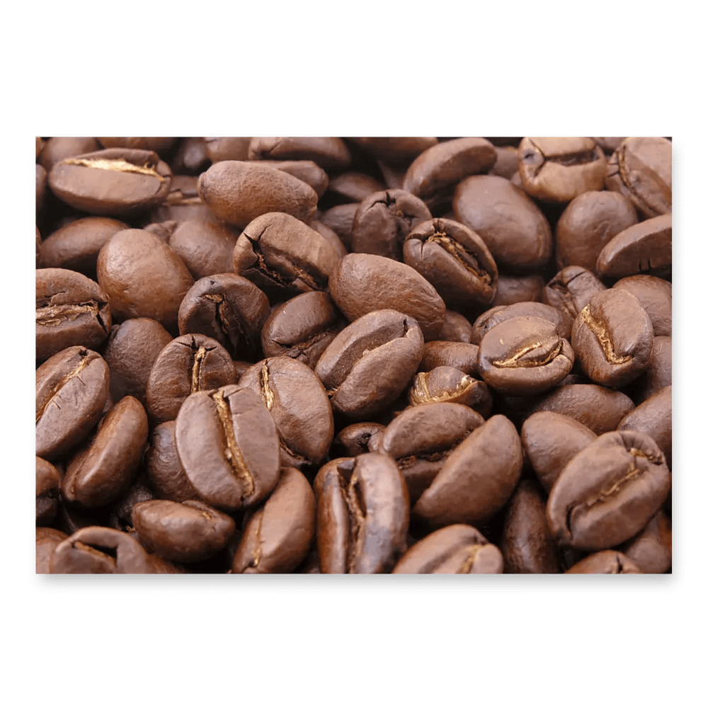 Roasted Reverie Wrapping Paper Set product image (8)