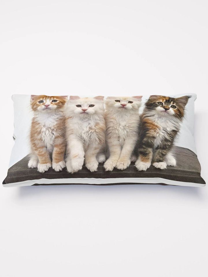 Ada's Kittens - Pillow product image (1)