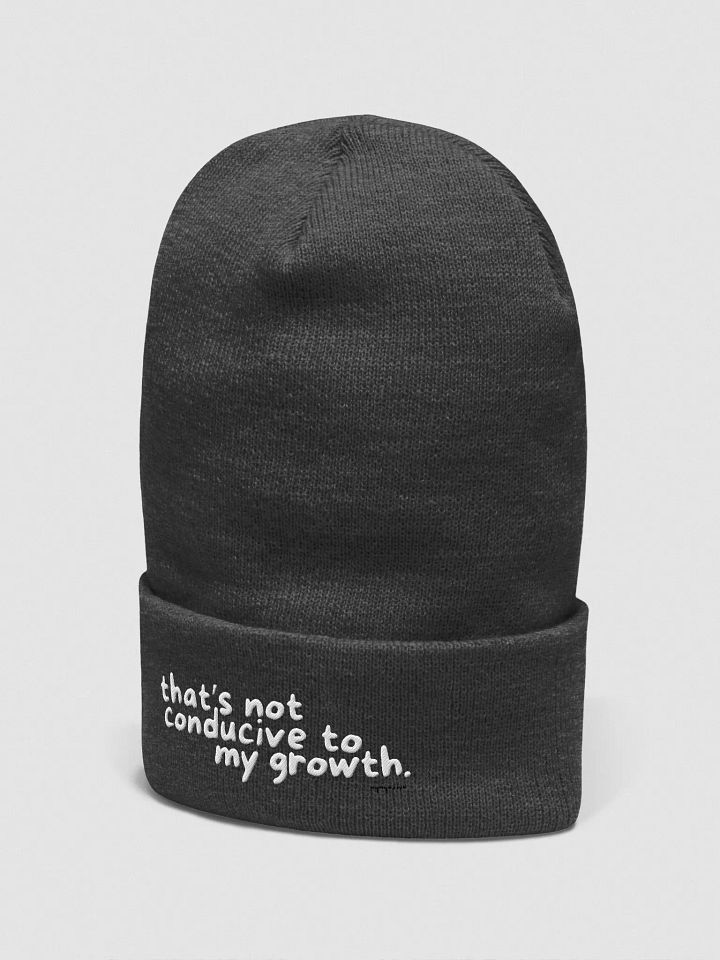 Conducive Beanie product image (2)