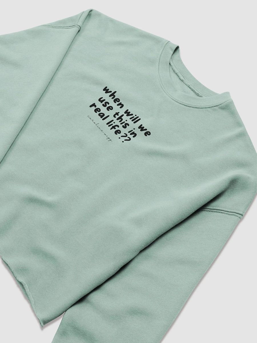 Real Life Crop Sweatshirt - Light Colours product image (5)