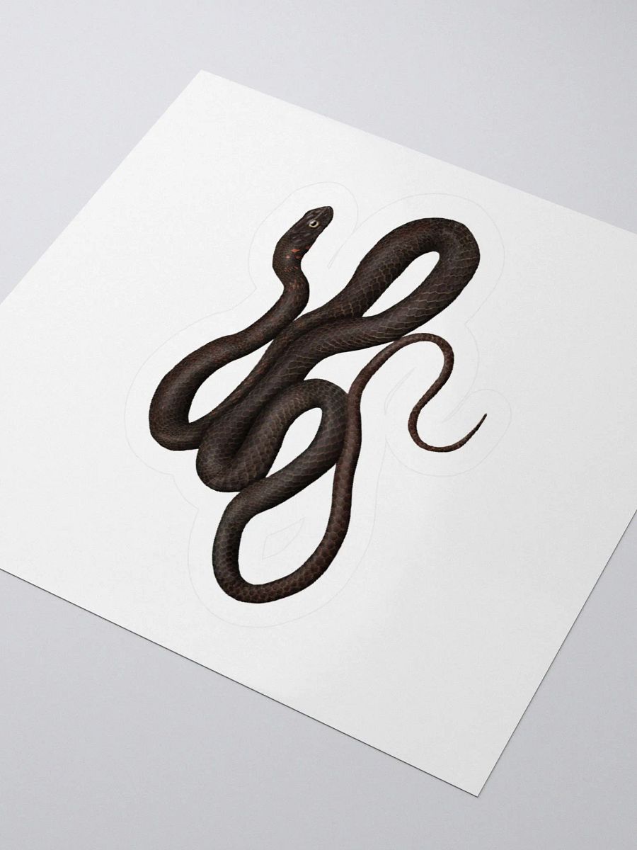 Die-Cut Sticker – Black Coachwhip product image (3)