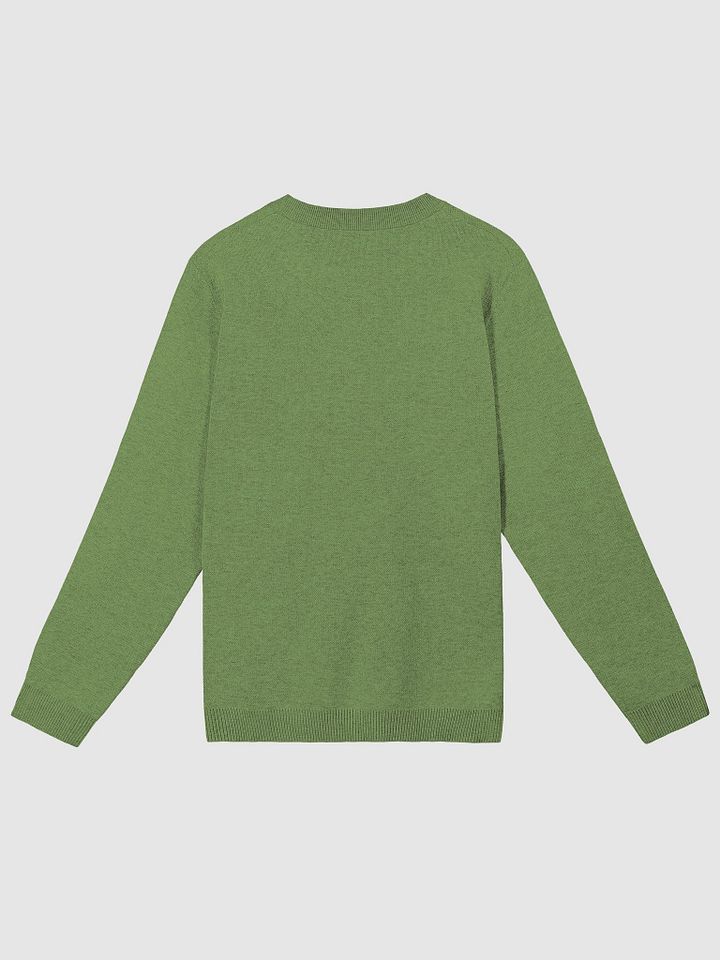 PLEASE DON'T MAKE ME TALK (duotone green) knitwear classic crewneck product image (6)