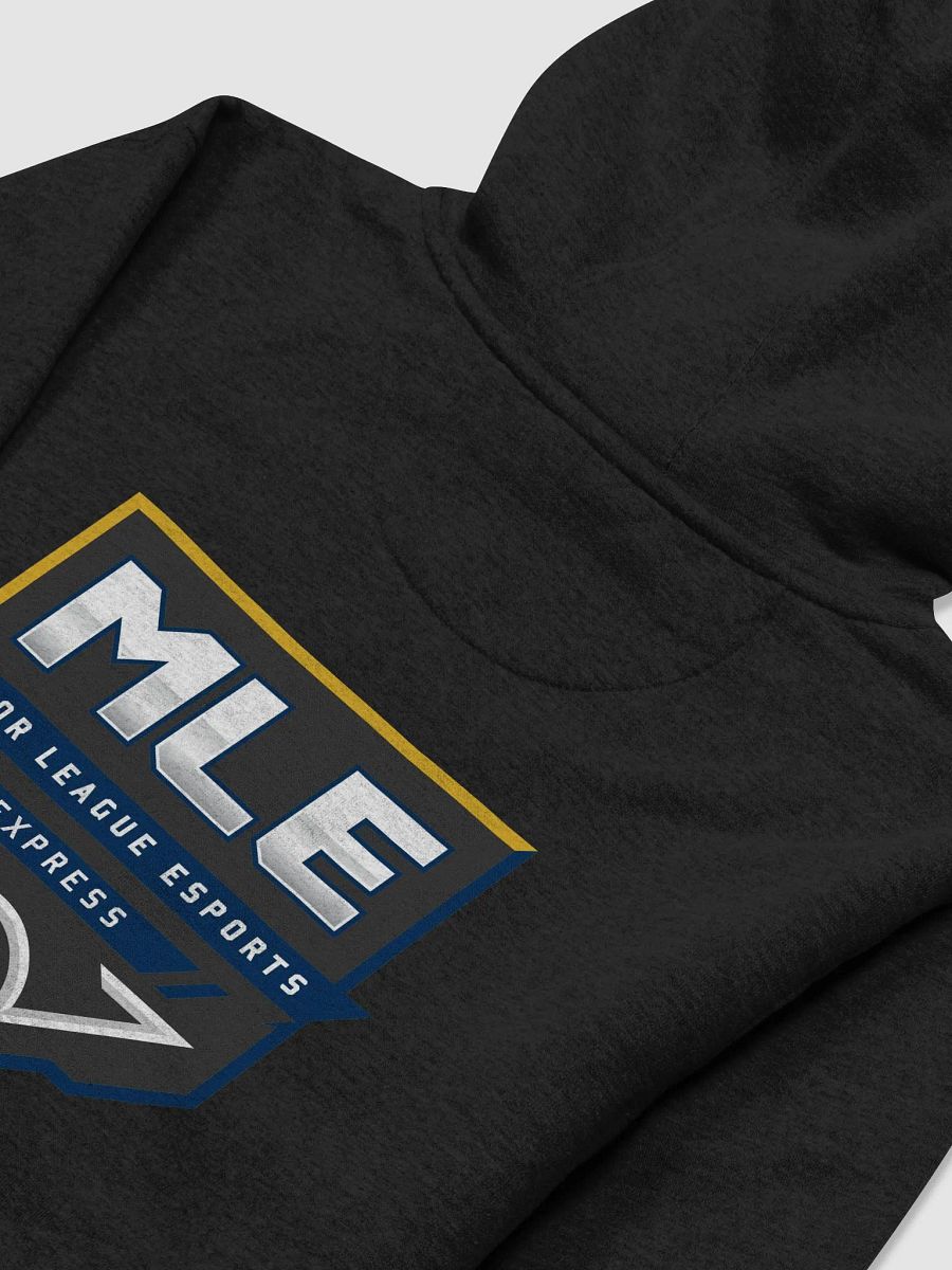 Express Premium Unisex Hoodie product image (23)