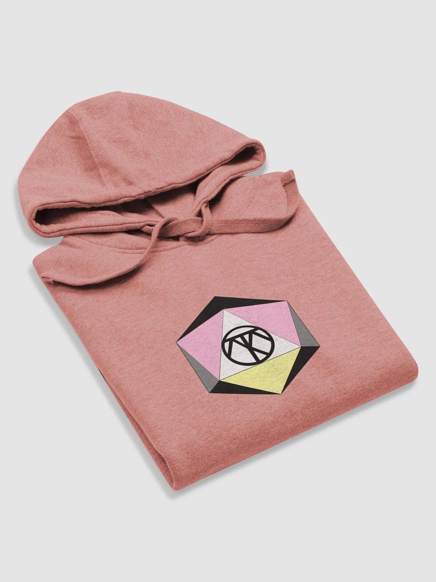 ThatoneQueerPlatonicD20 Hoodie product image (57)