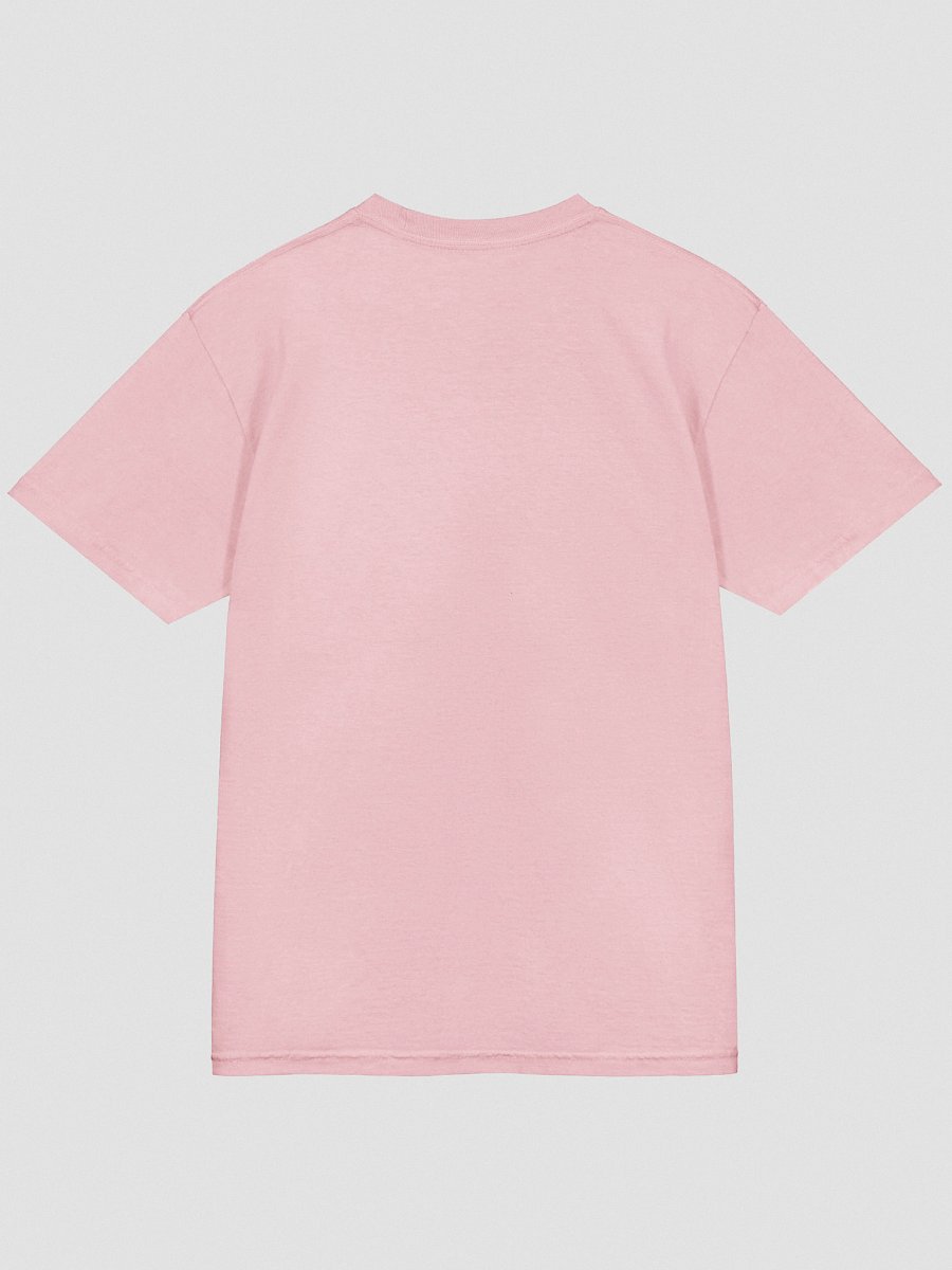 Keeps Getting Terrier T-Shirt(Embroidered) of an American Hairless Terrier(Gray) product image (44)