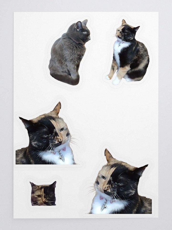 Judging Intensely Sticker Sheet product image (1)