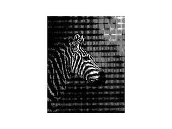 ZEBRA 04 - Vote to shape the next post