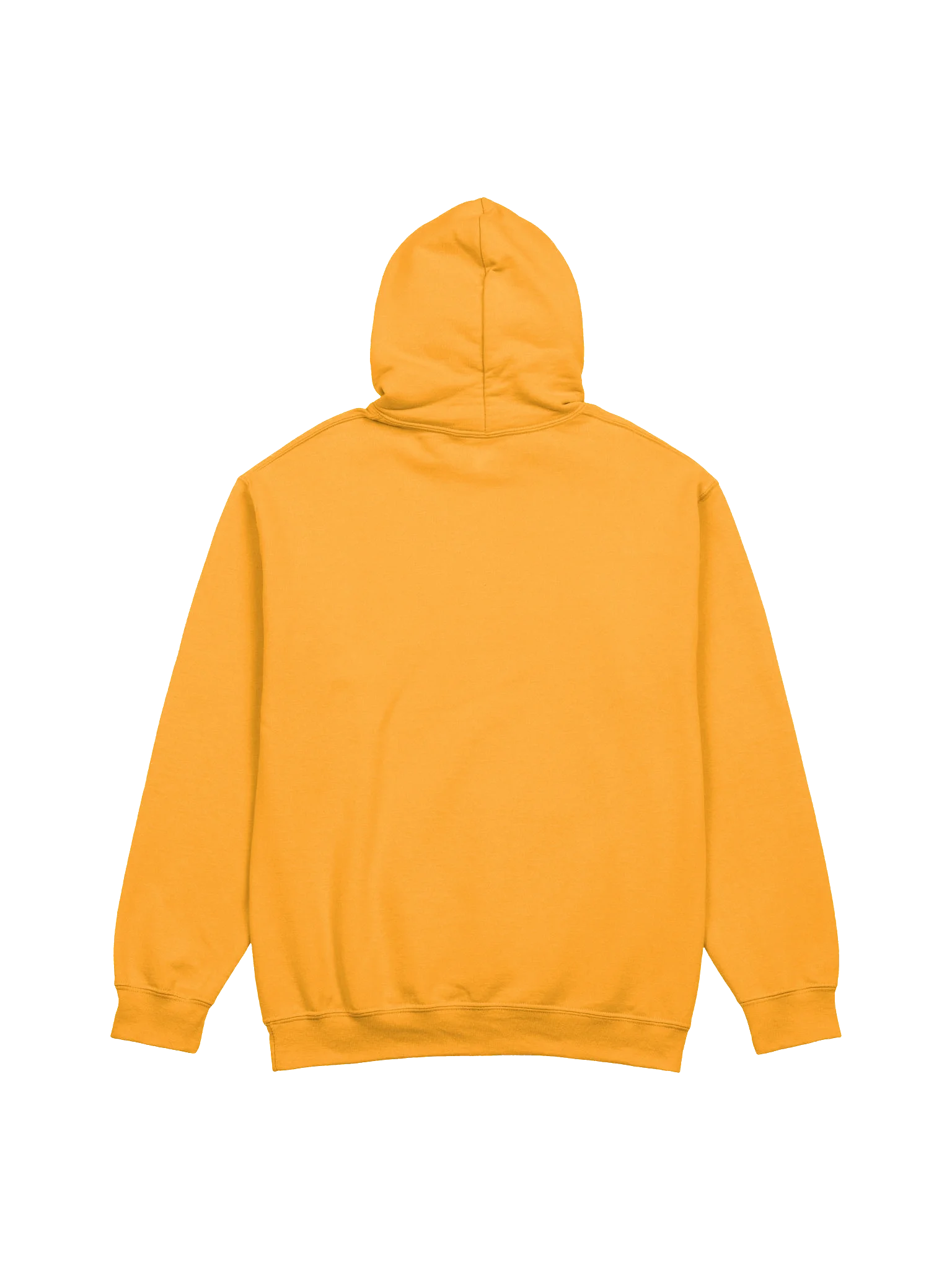 I Kissed a Bichon, Hoodie product image (3)