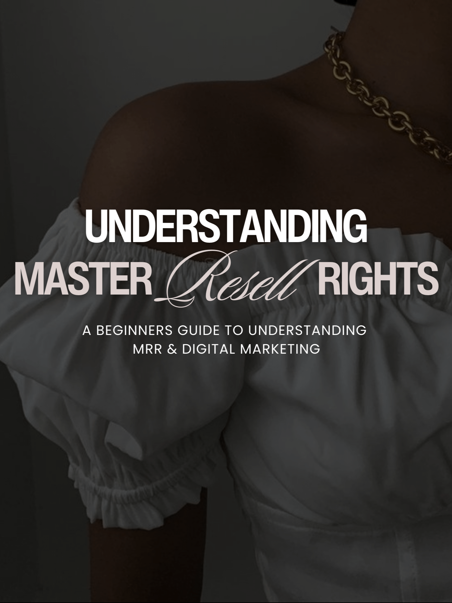 Understanding Master Resell Rights product image (1)