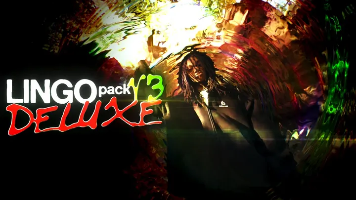 LINGO PACK V3 DELUXE (550+ ASSETS) product image (1)