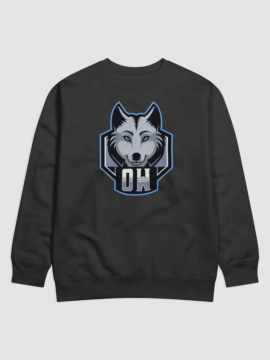 Sweatshirt product image (1)
