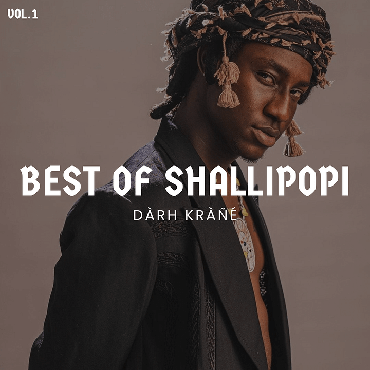 Best of Shallipopi Mixx Vol.1 product image (1)