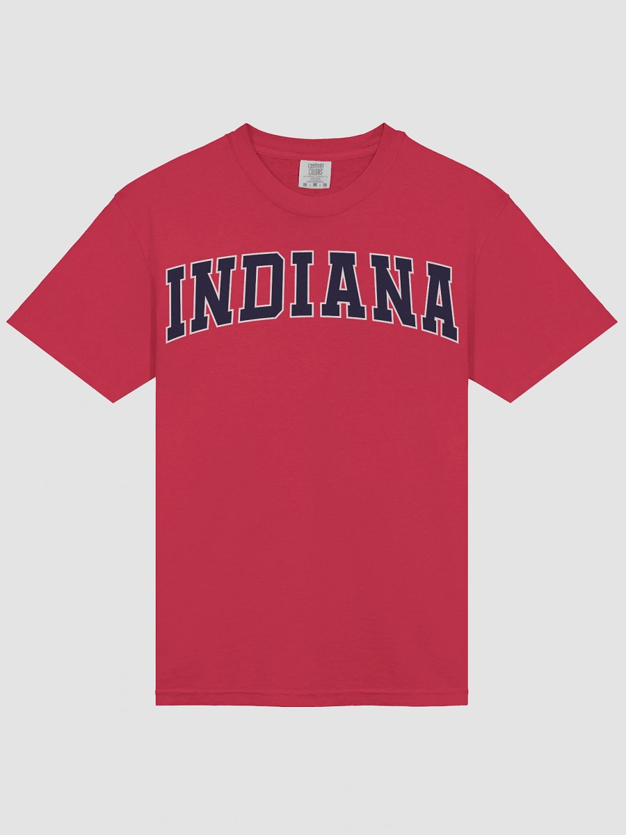 Indiana Vintage Stylish Unisex Garment-Dyed T-shirt product image (4)