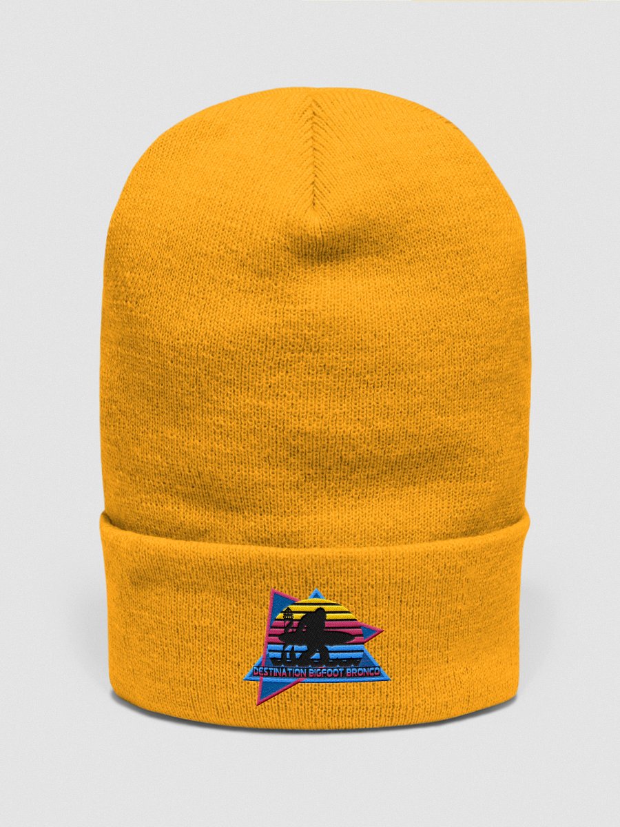 Retro-Inspired Gold Cuffed Beanie product image (1)